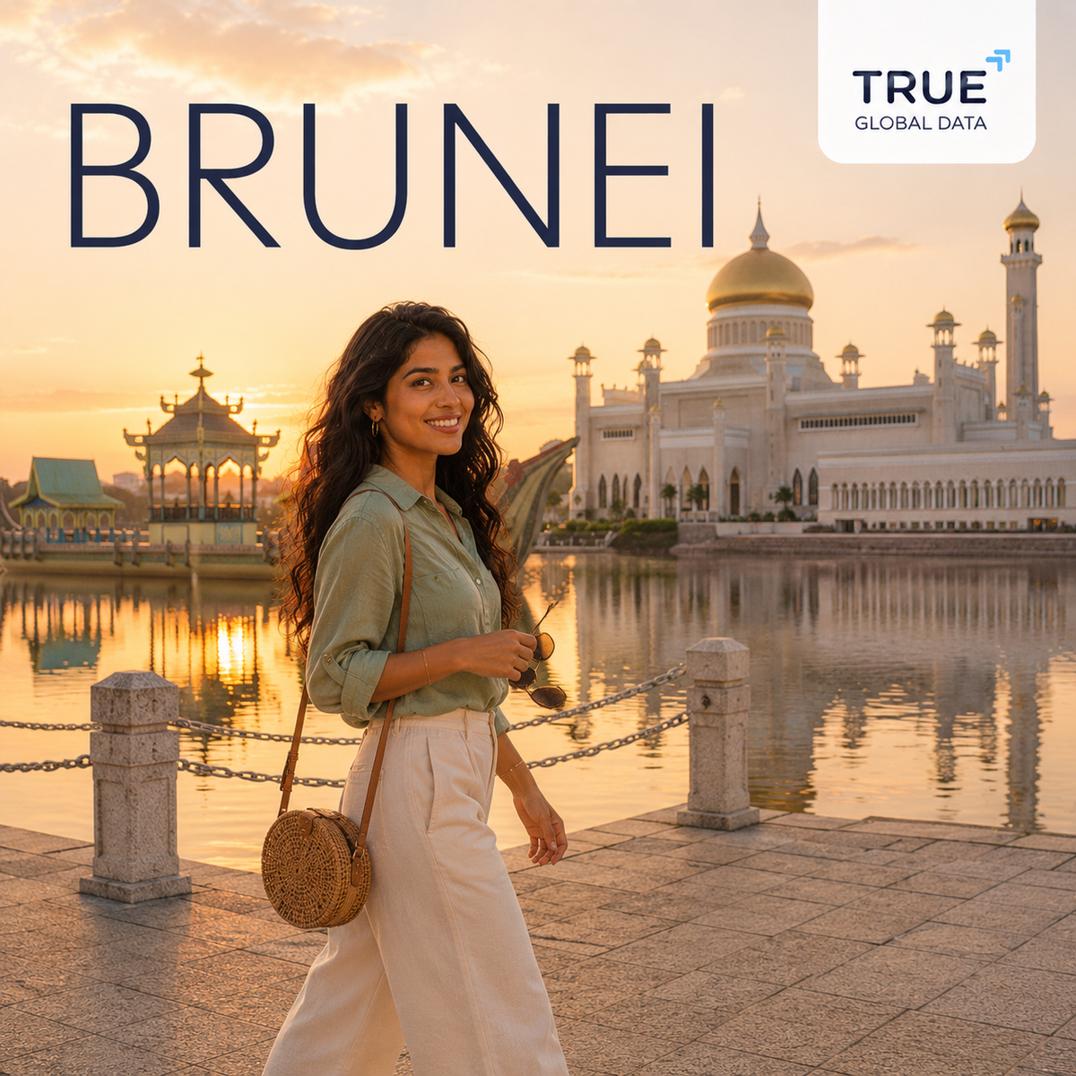 Brunei eSIM Travel Data