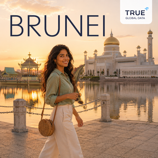 Brunei eSIM Travel Data